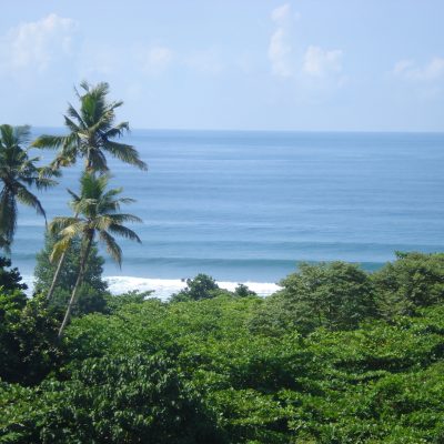 DSC00994